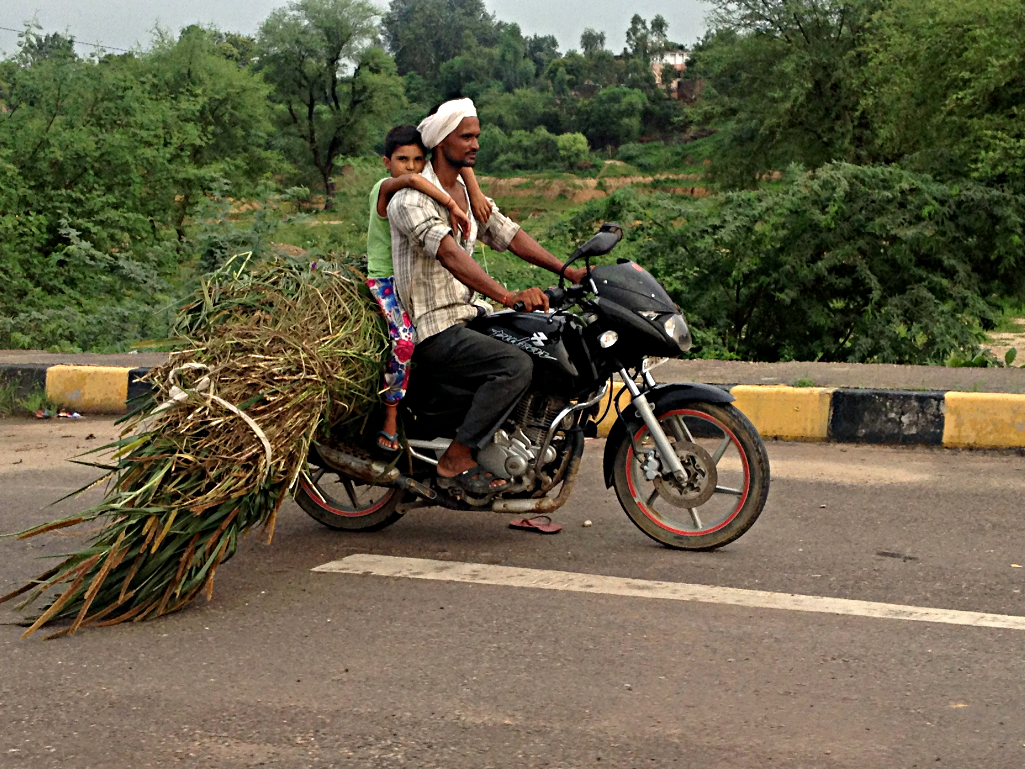 Vida en la carretera
